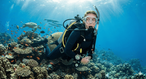 DIVEMASTER