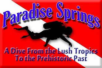 Paradise Springs Guided Dive