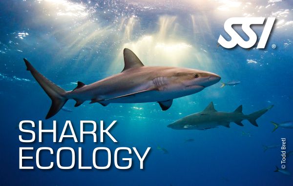 SSI Shark Ecology Kit
