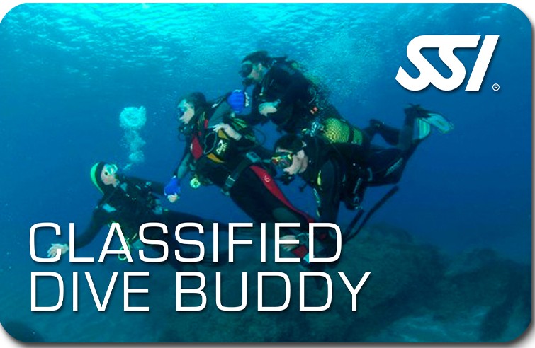 Classified Dive Buddy