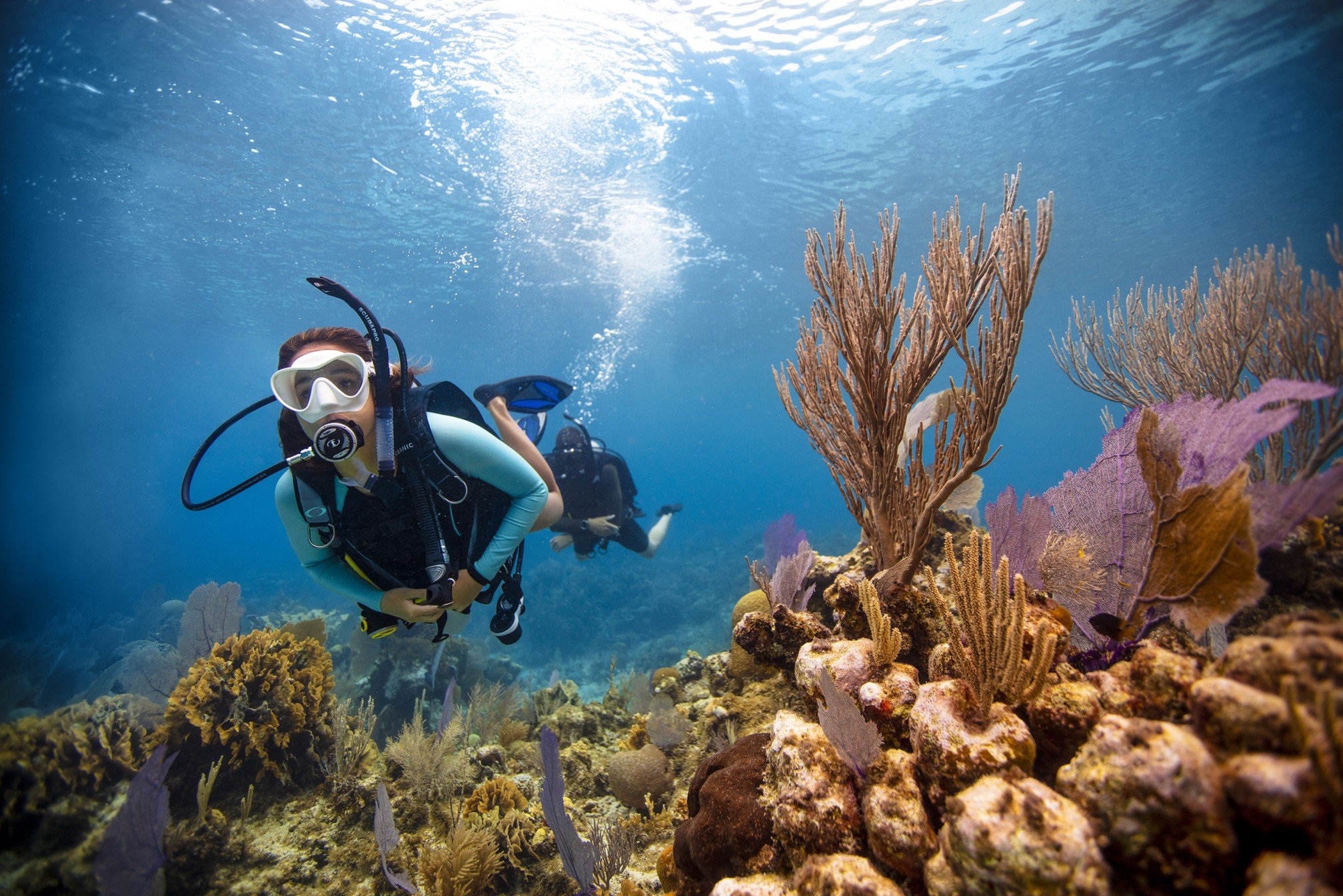 Saltwater SCUBA Diving Trips