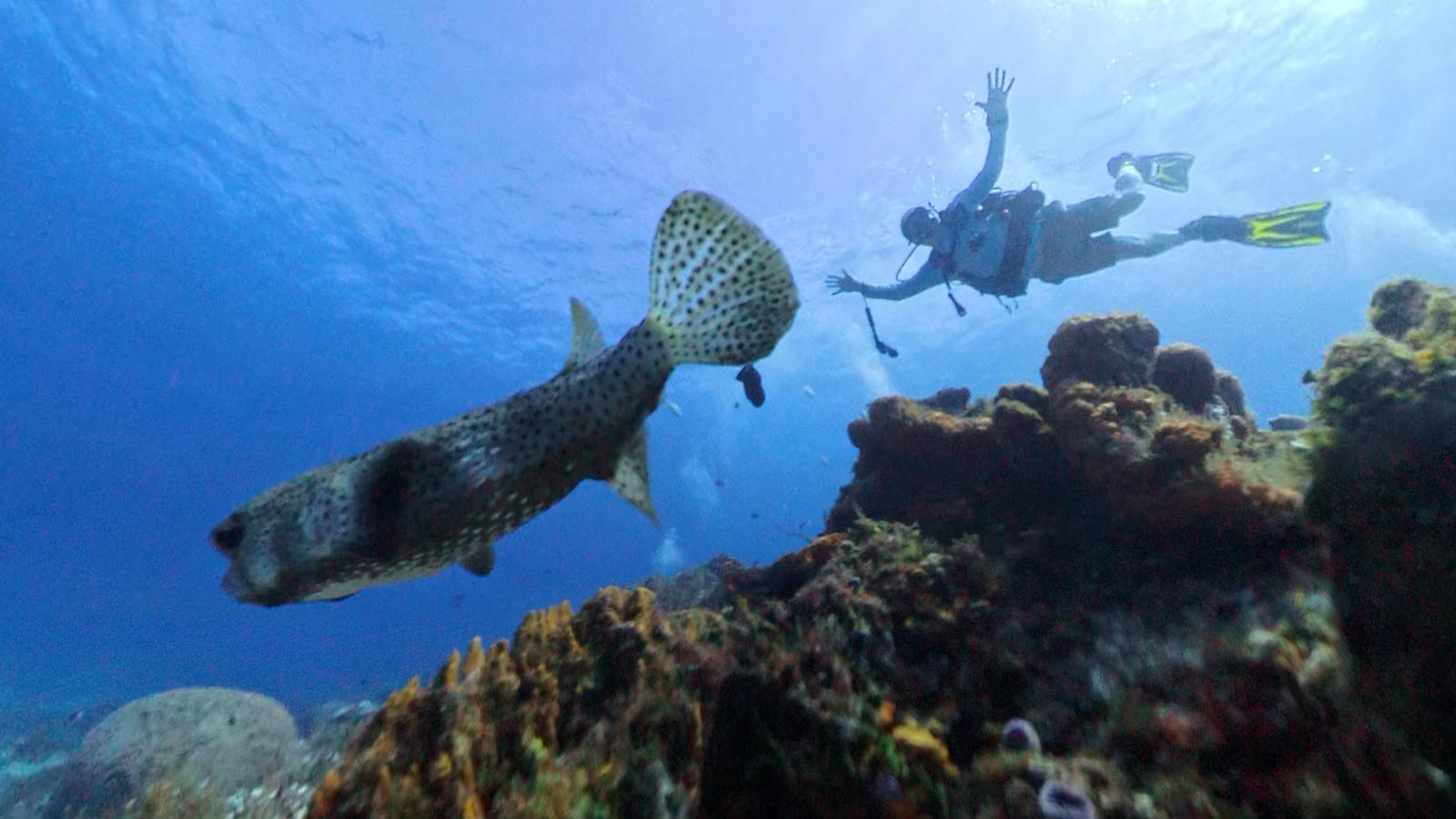 Iberostar Waves, Cozumel Mexico