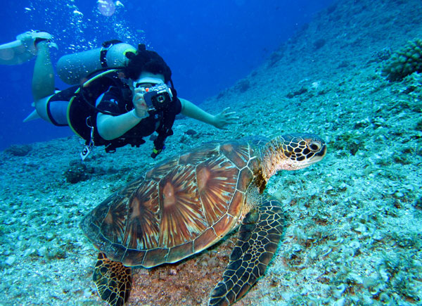 Grand Cayman - April 10-17, 2027 - Ocean Cabanas