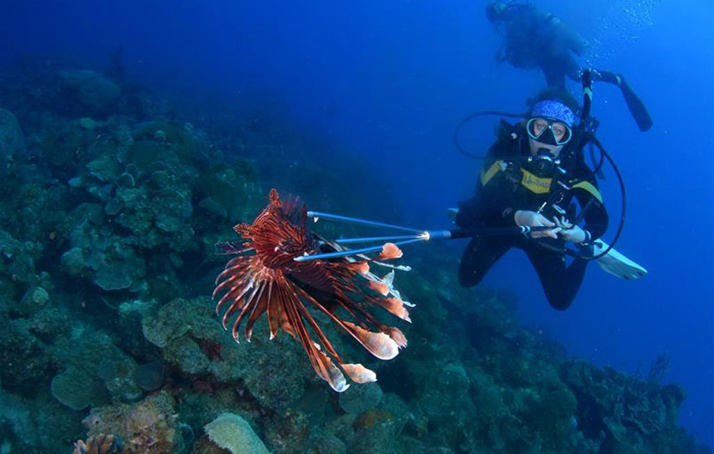 Invasive Species Management