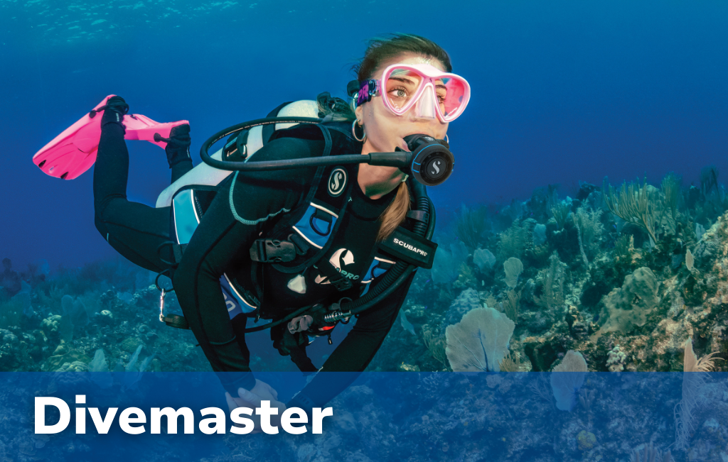 Divemaster