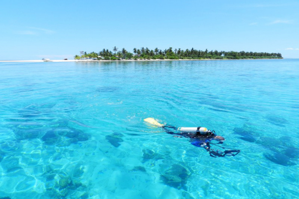 Philippines, Ocean Vida January 2026