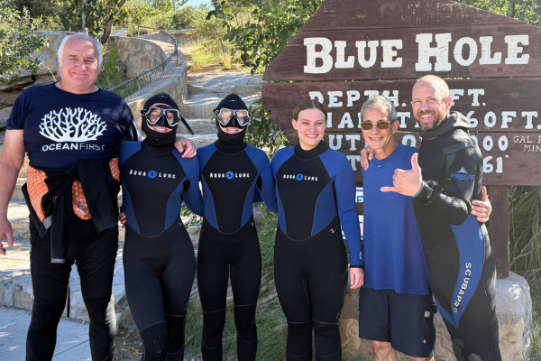 Continuing Education Bundle