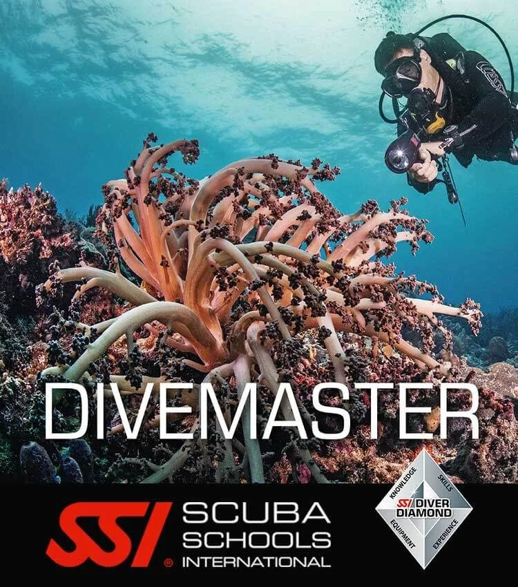 SSI Divemaster