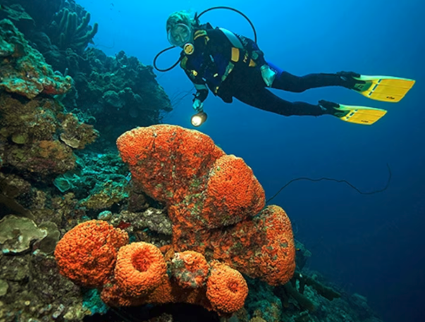 Bonaire