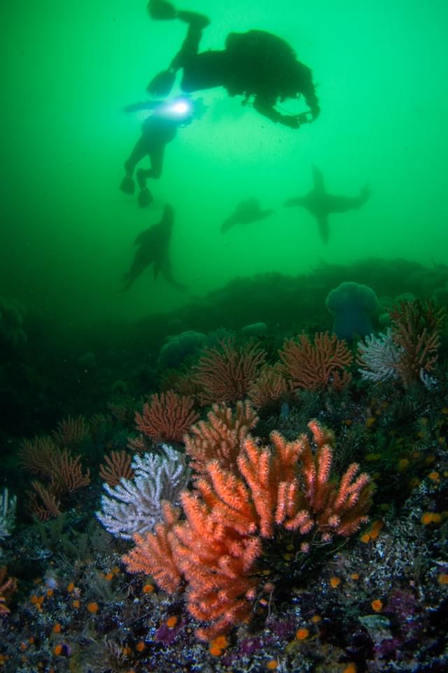 Keep Diving with PADI