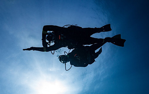 Navigation Diver Navigation Diver