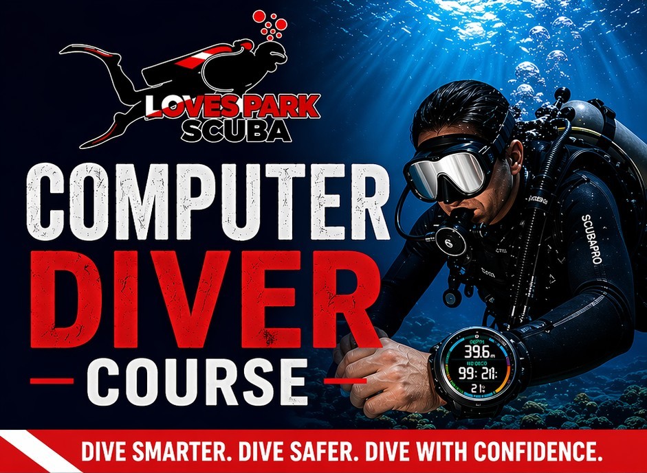 SDI Computer Diver
