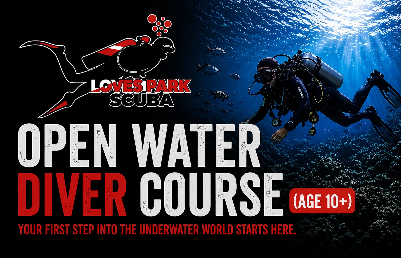 Open Water Scuba Diver