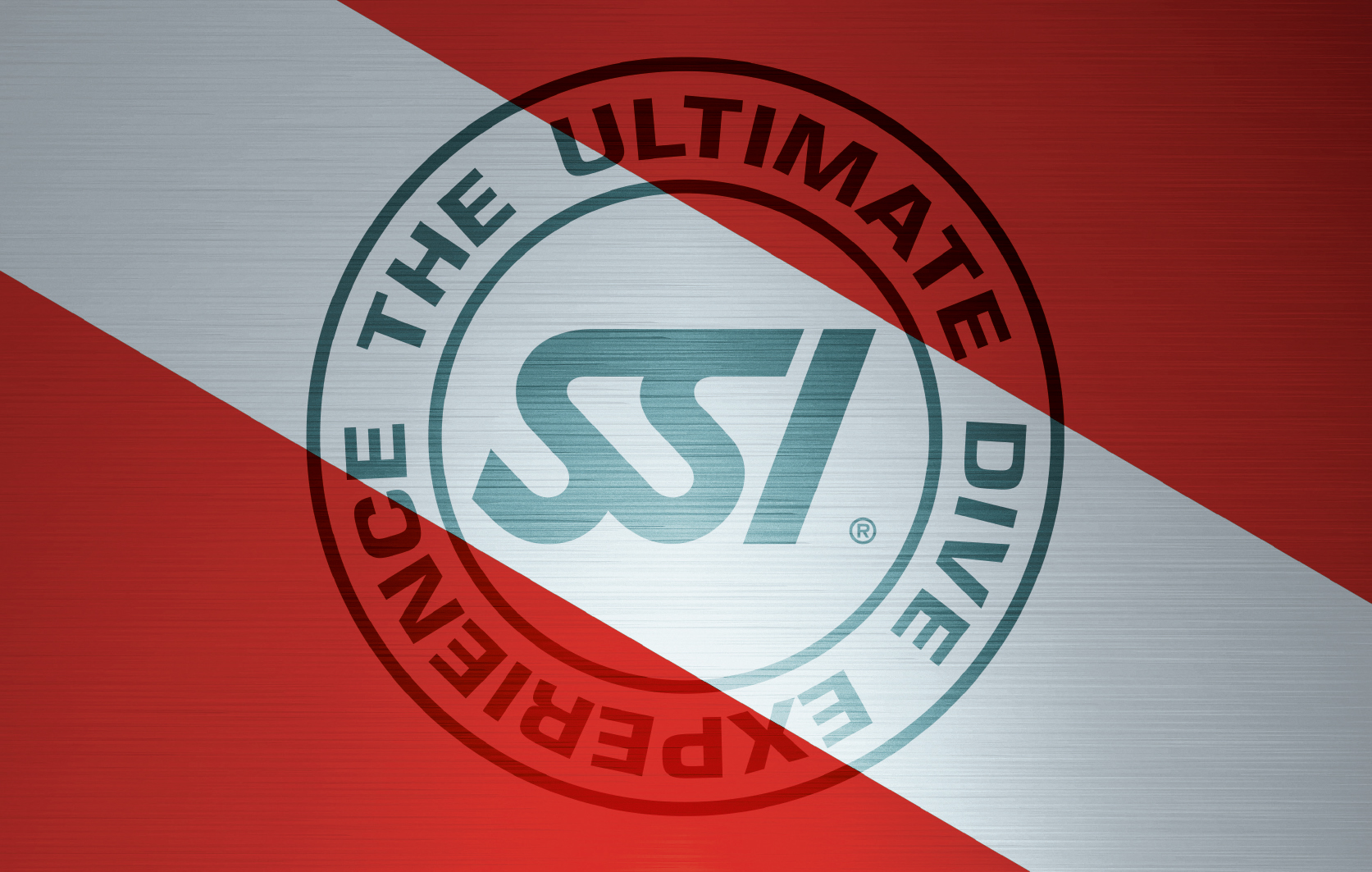 SSI Professional Onboarding