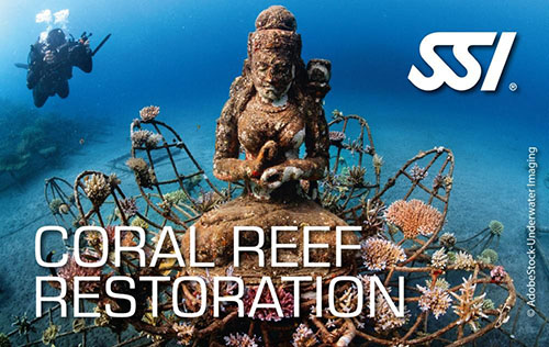 Coral Reef Restoration