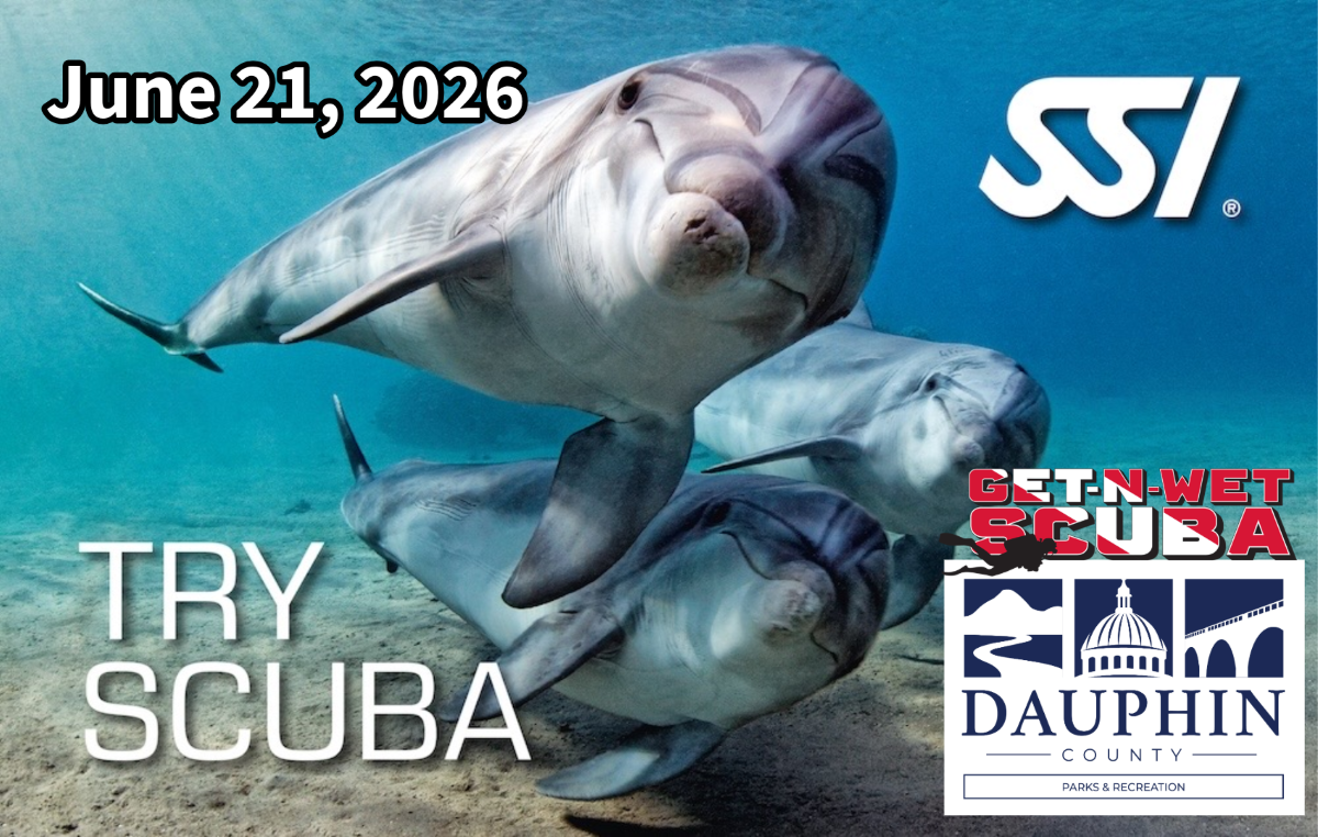 Dauphin County Parks & Recreation Try Scuba Event Dauphin County Parks & Recreation Try Scuba Event