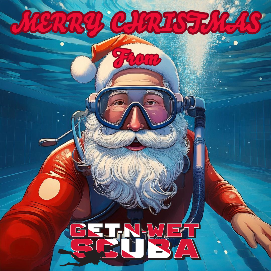 Get-N-Wet Scuba Christmas Social 2026