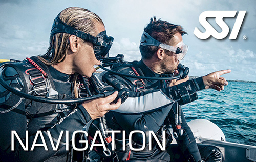 Navigation Diver