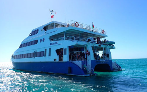 Bahamas Aqua Cat Liveaboard October 31-November 7, 2026
