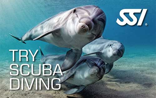 Try Scuba