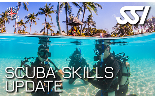 Scuba Skills Update