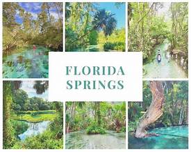 Dive the Florida Springs!