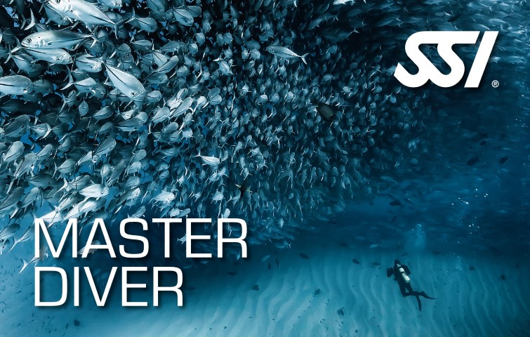 Master Diver Bundle - 4 Courses + Diver Stress/Rescue Diving