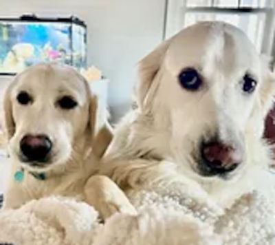 Louie and Luna