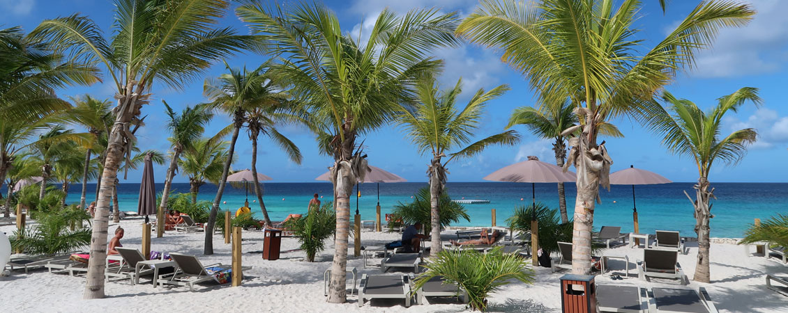 Bonaire Delfins Beach Resort