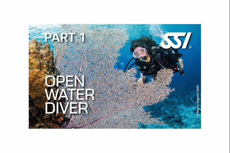Open Water Scuba Diver