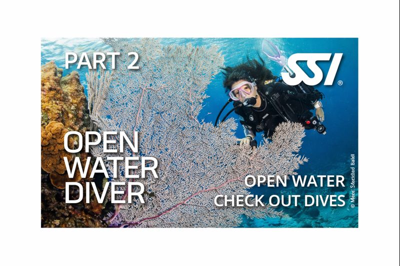 Open Water Check-out Dive
