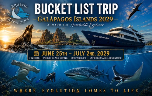 Galapagos 2029