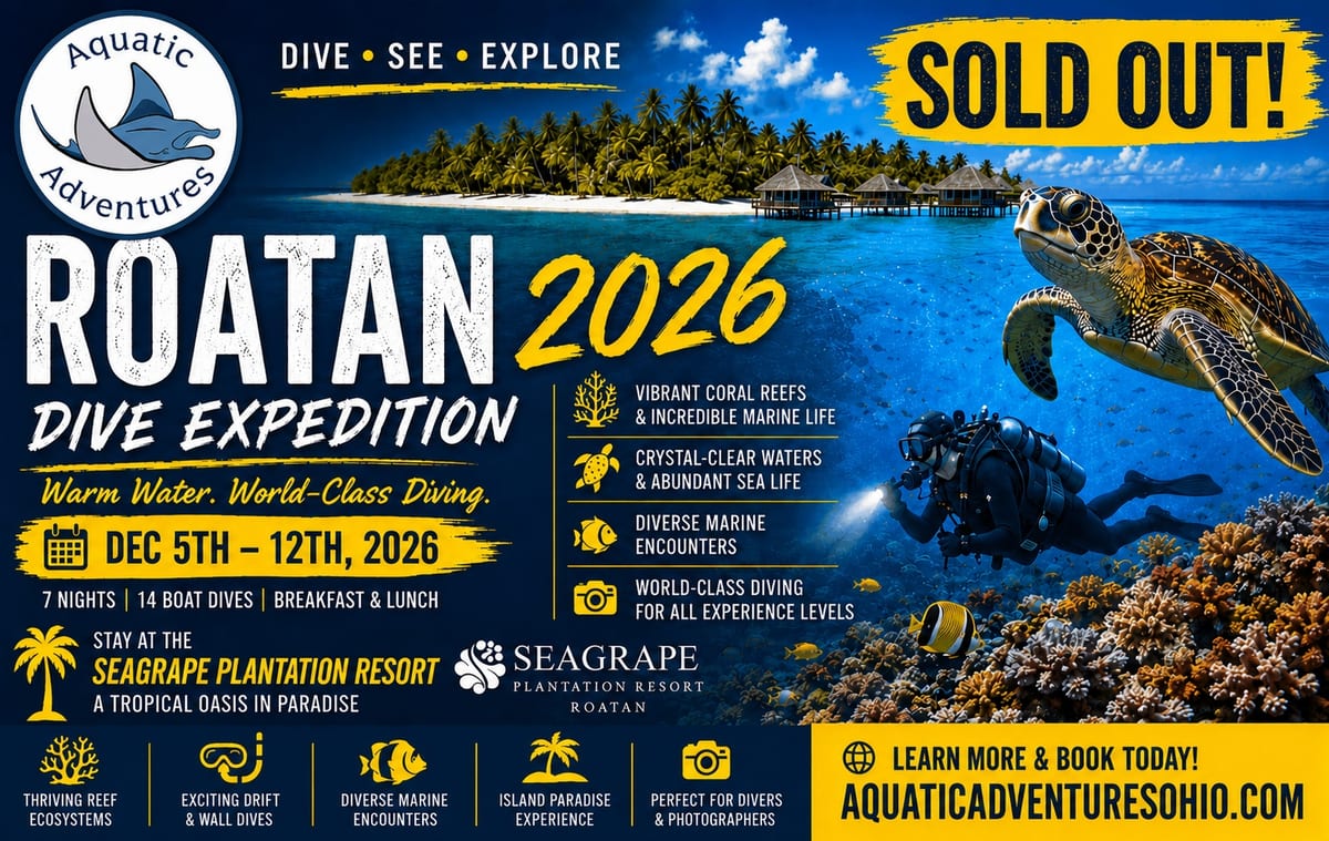 Roatan 2026