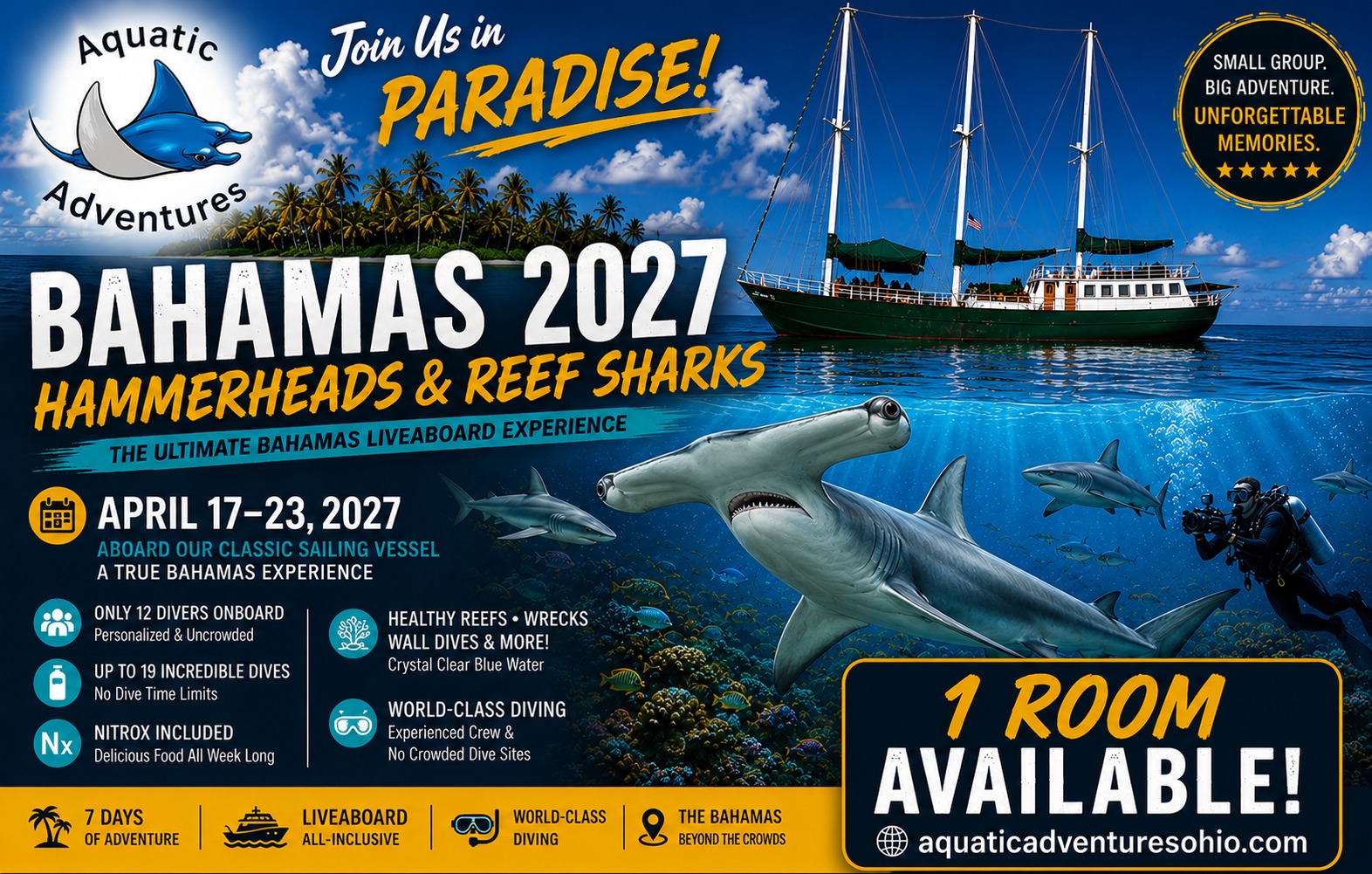 Bahamas & Bimini Hammerheads 2027