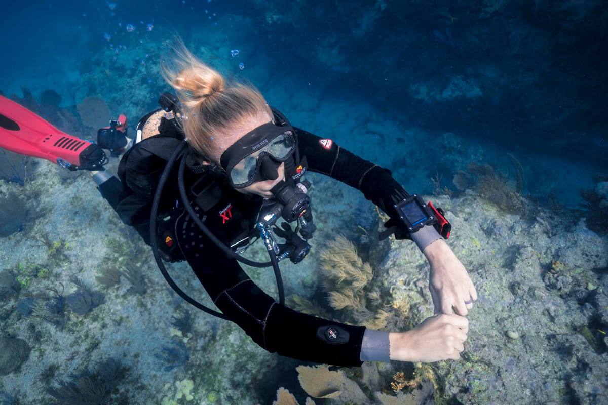 Open Water Diver Group Classes