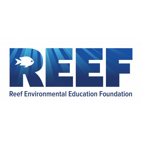 REEF Fish ID