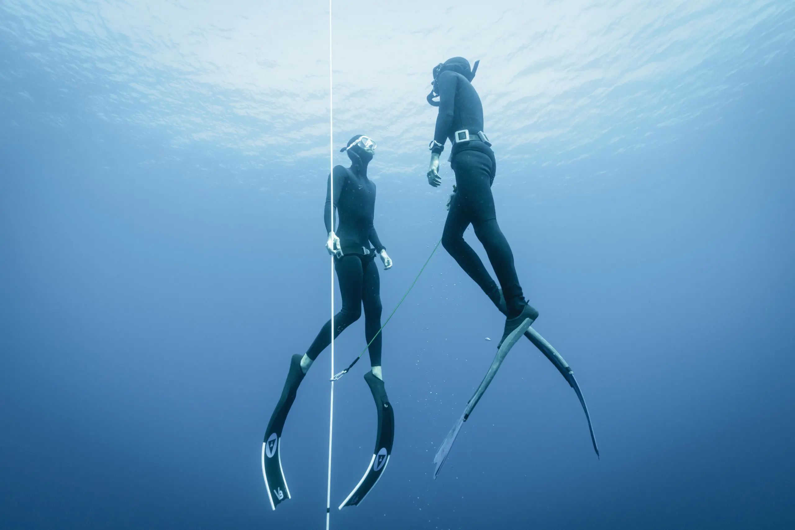 Freedive Level 1