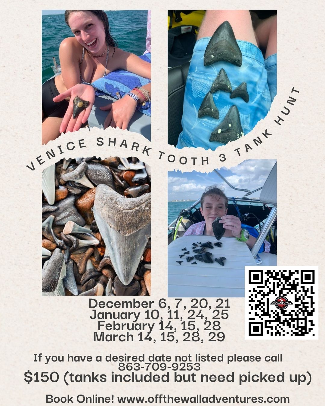 Venice Shark Tooth Hunting