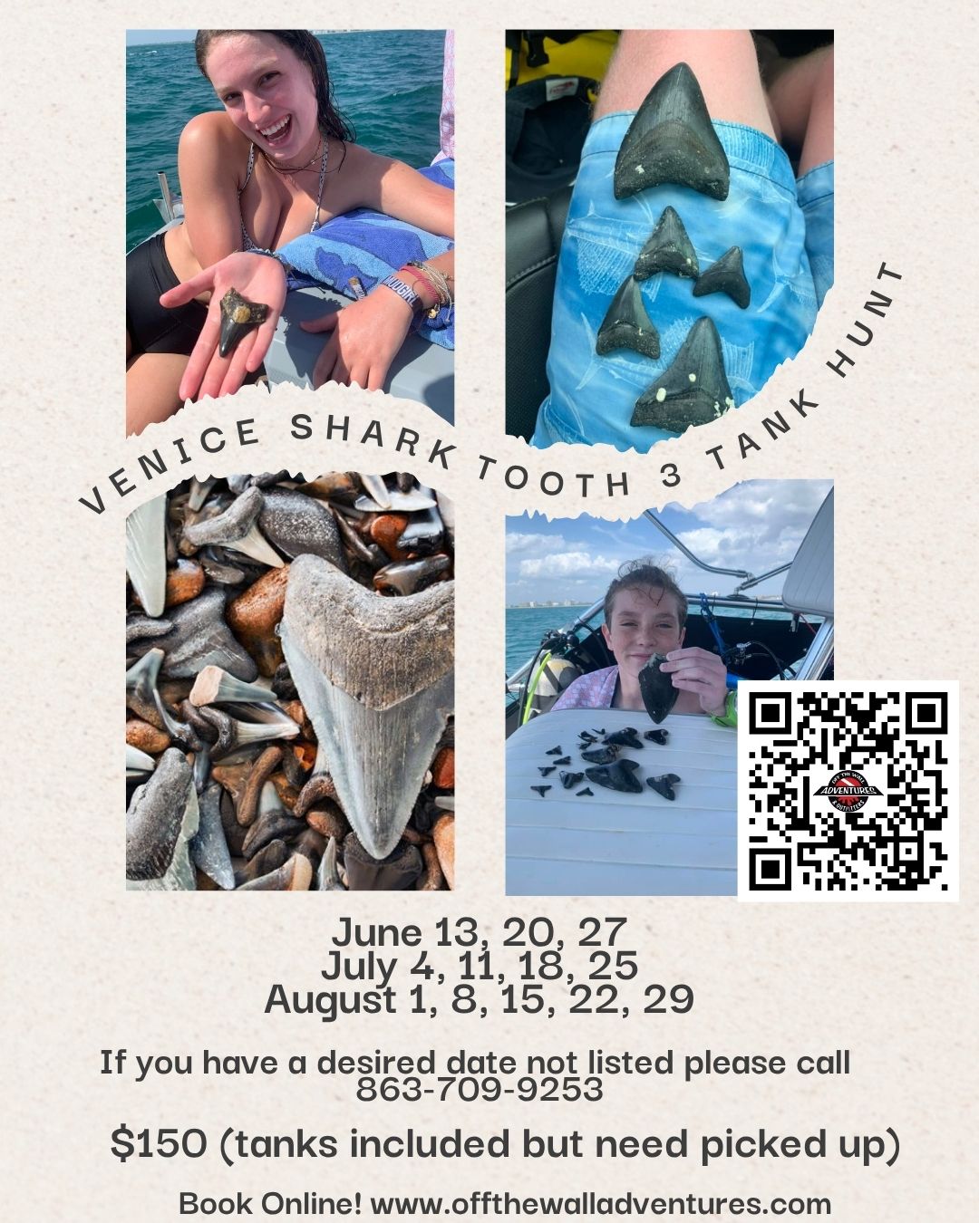 Venice Shark Tooth Hunting