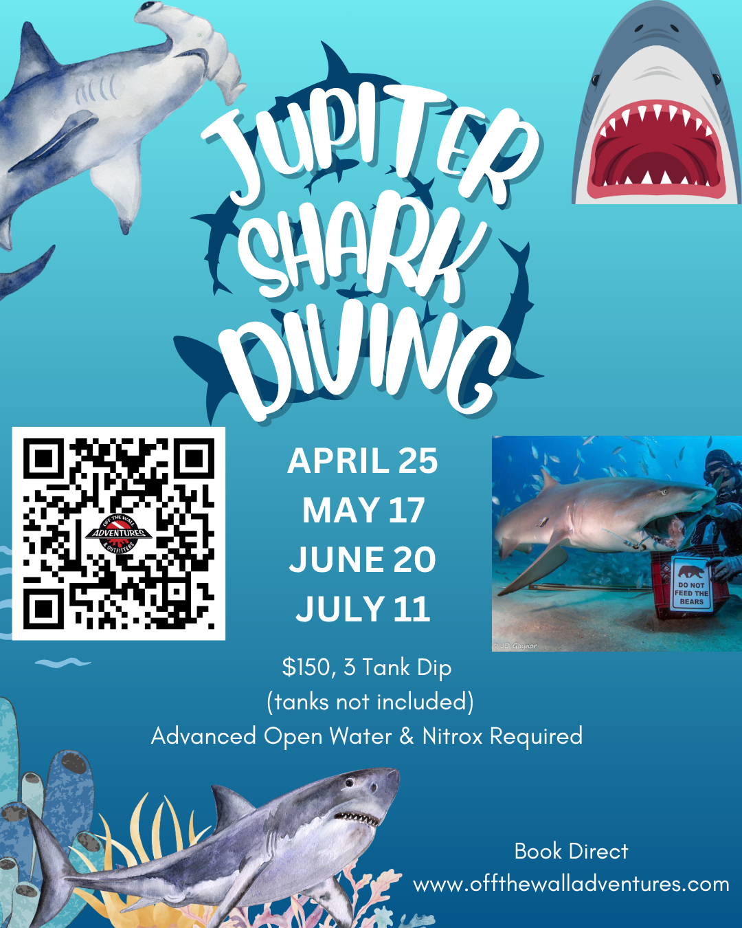 Jupiter Shark Tooth 3 Tank Dive with a Pro!