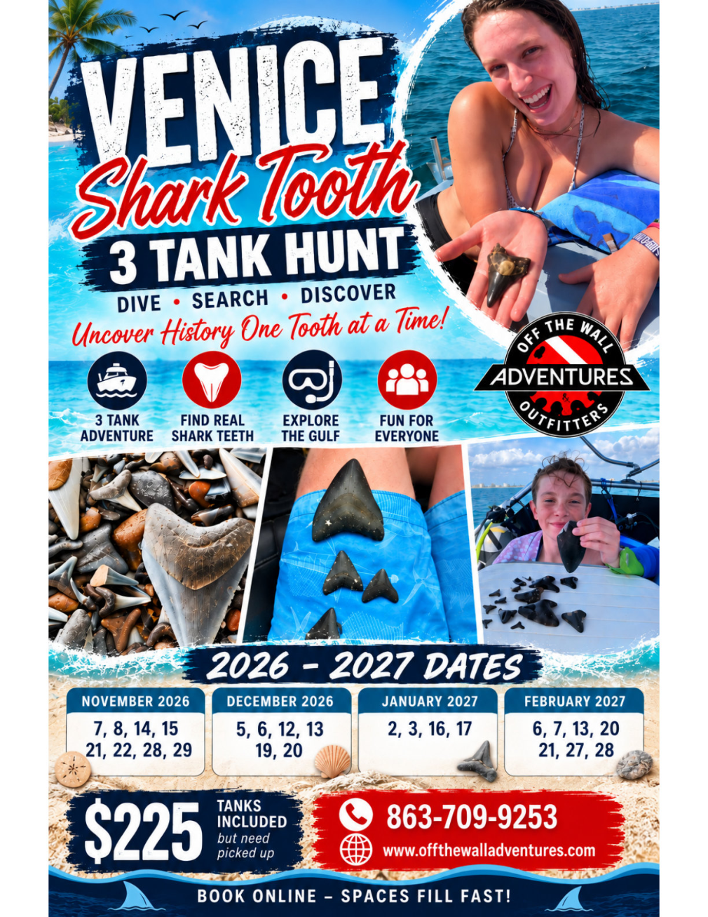 Venice Shark Tooth Hunting