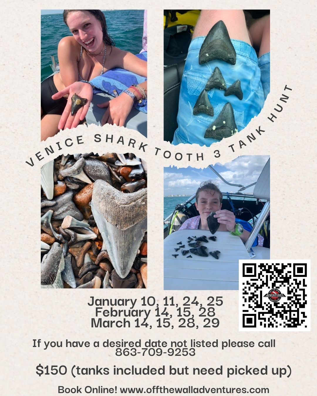 Venice Shark Tooth Hunting