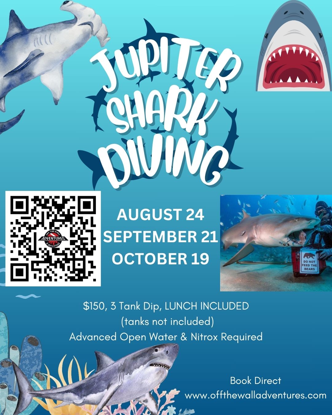 Jupiter Shark 3 Tank Dive