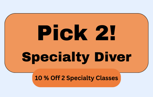 Pick 2! - Specialty Diver Bundle