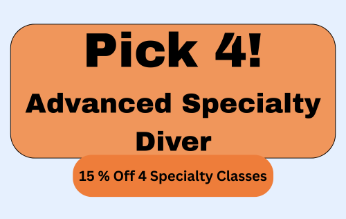 Pick 4! - Advanced Specialty Diver Bundle