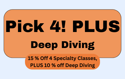 Pick 4! PLUS Deep Diving