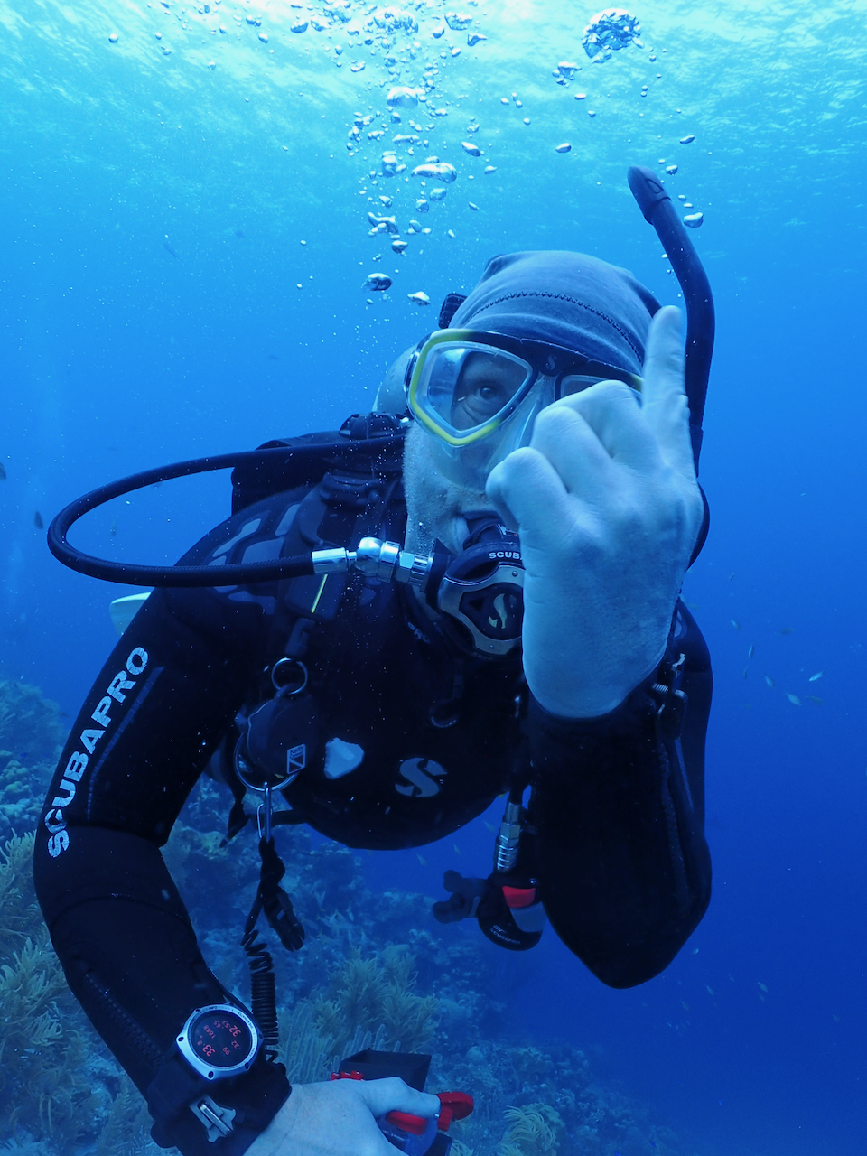 Inactive Diver/Refresher Program