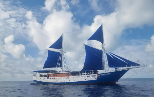 Philippines Liveaboard