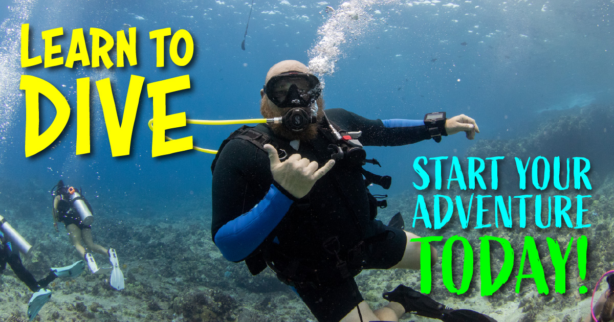 Open Water Diver Course