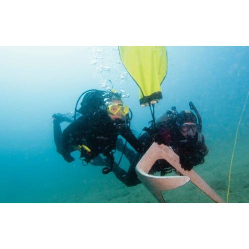Search And Recovery